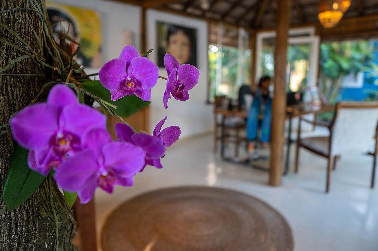 Pousada Calypso Trancoso Dış mekan fotoğraf