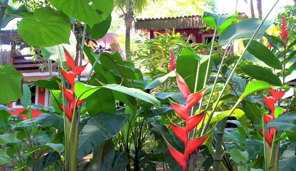 Pousada Calypso Trancoso Dış mekan fotoğraf